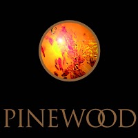 Pinewood Hotel 1079743 Image 1
